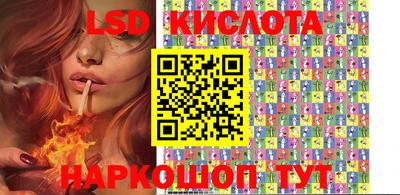 гидра Будённовск