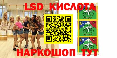 гидра Будённовск