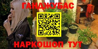 гидра Будённовск