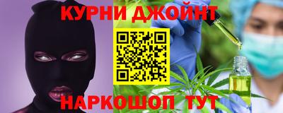гидра Будённовск