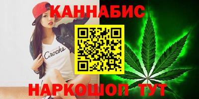 гидра Будённовск