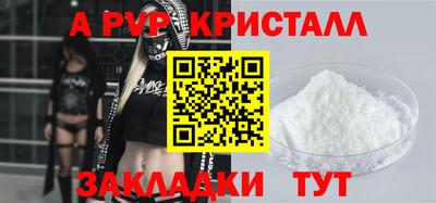 гидра Будённовск