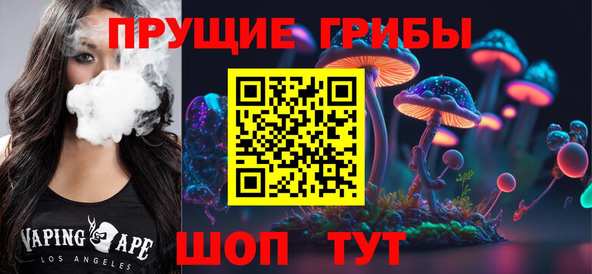 Псилоцибиновые грибы GOLDEN TEACHER Коряжма
