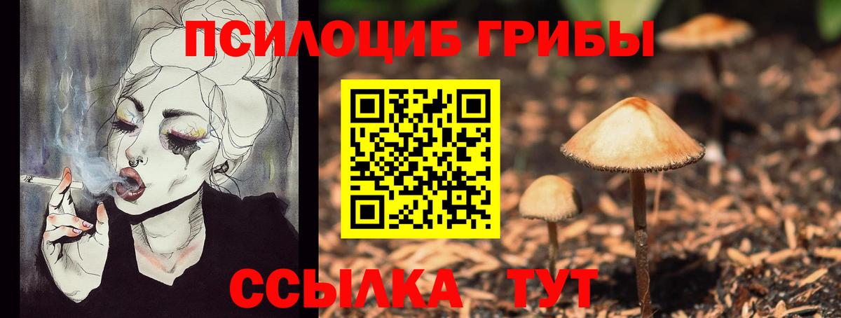 Псилоцибиновые грибы MAGIC MUSHROOMS  Вход с VPN  наркошоп  Коряжма 